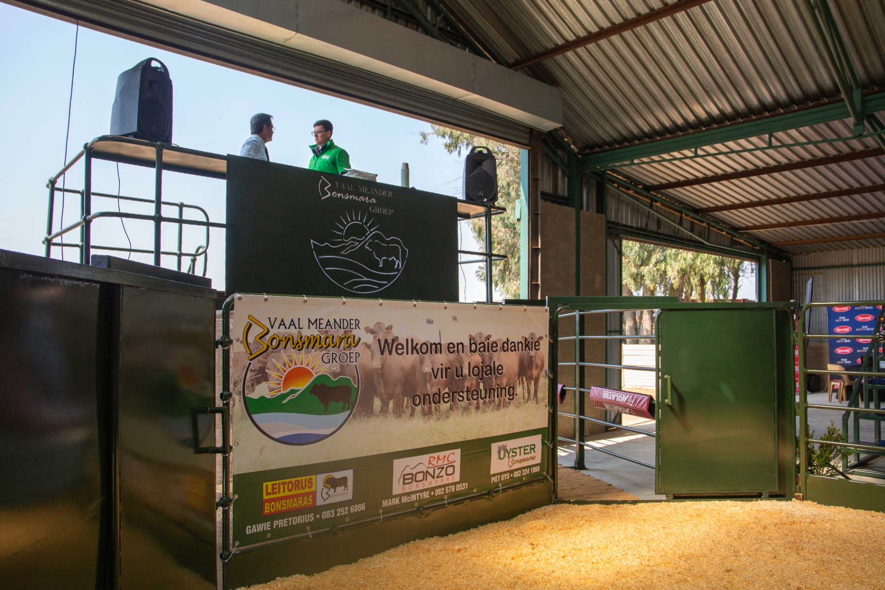 Vaal Meander Bonsmara Groep auction