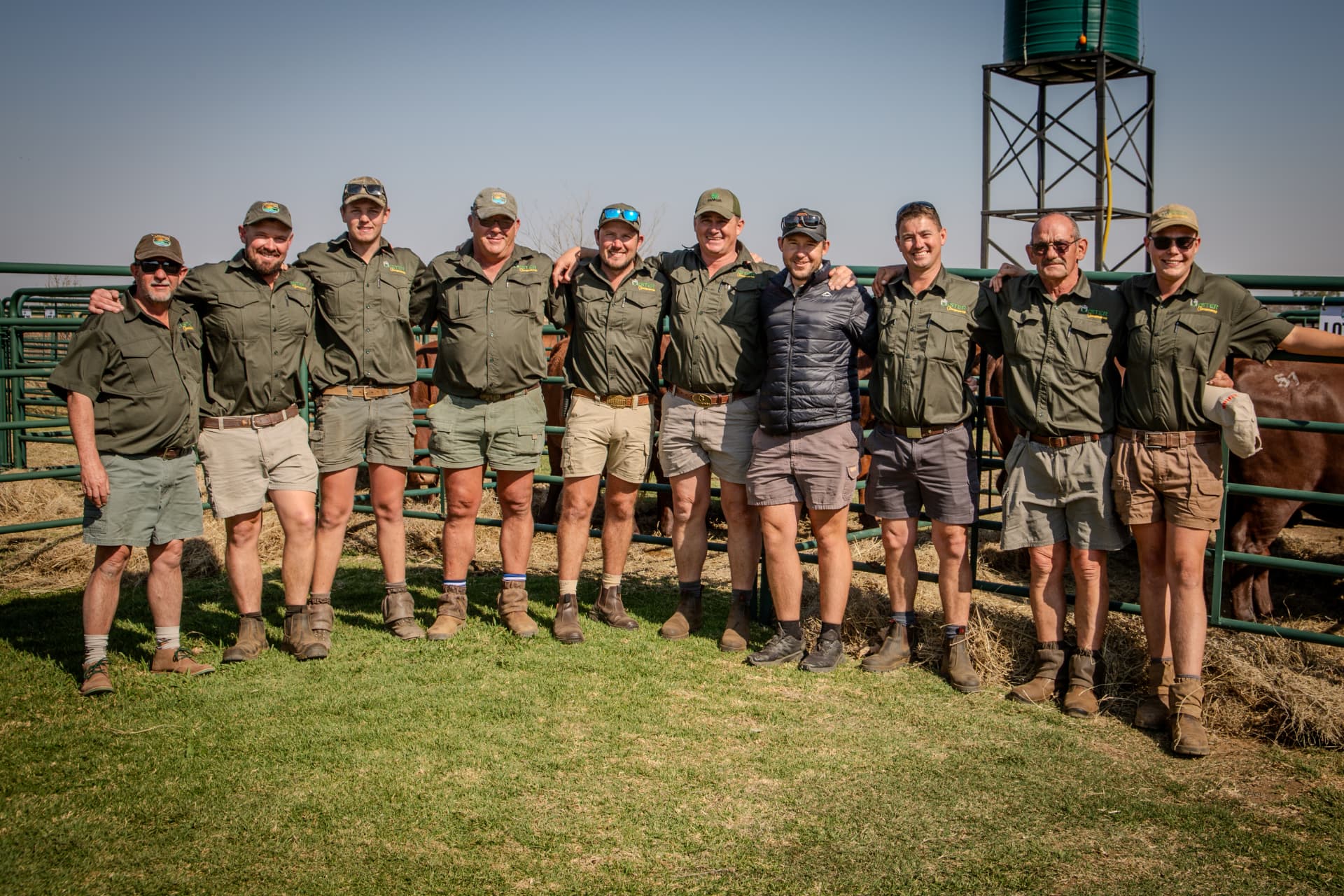 Die Uyster Bonsmaras span by die kraal op Boschkop