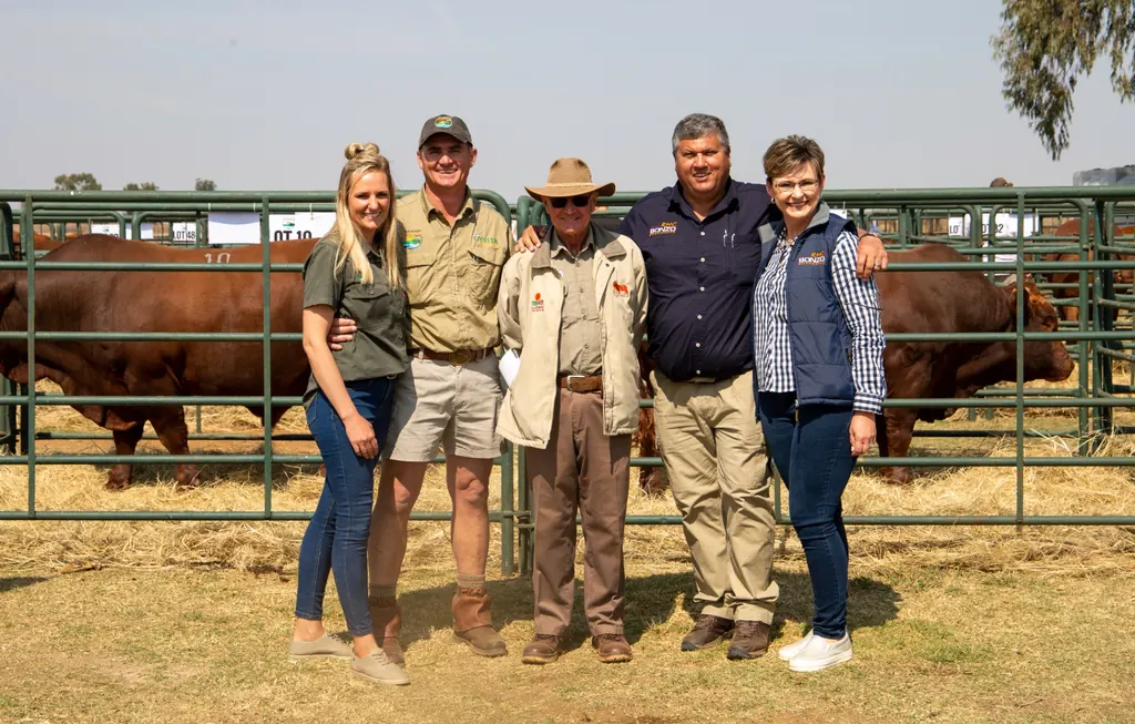 Vaal Meander Bonsmara Groep principal breeders inspecting Bonsmara cattle